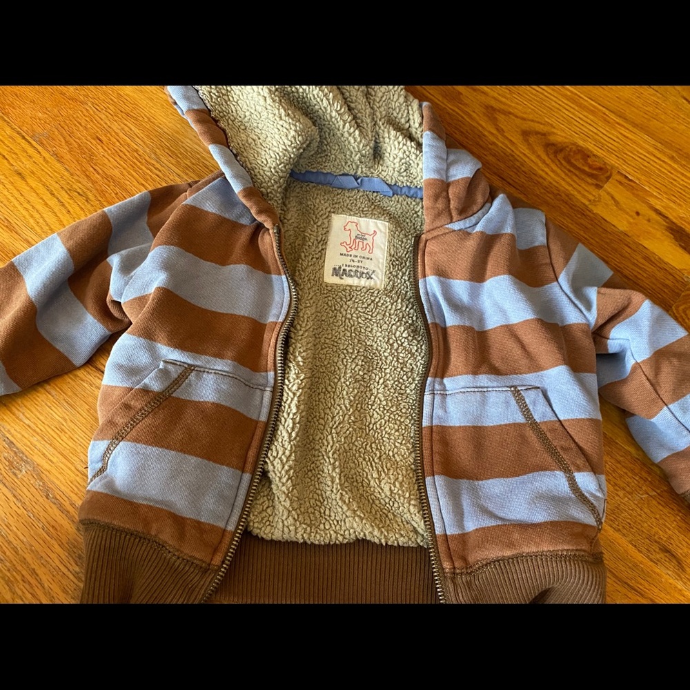 Mini Boden Fleece Hoodie